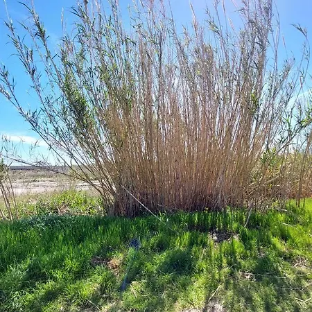 Alloggio * Isca sullo Ionio