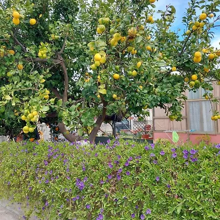 Alloggio Apartment Isca sullo Ionio