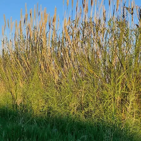 Alloggio * Isca sullo Ionio