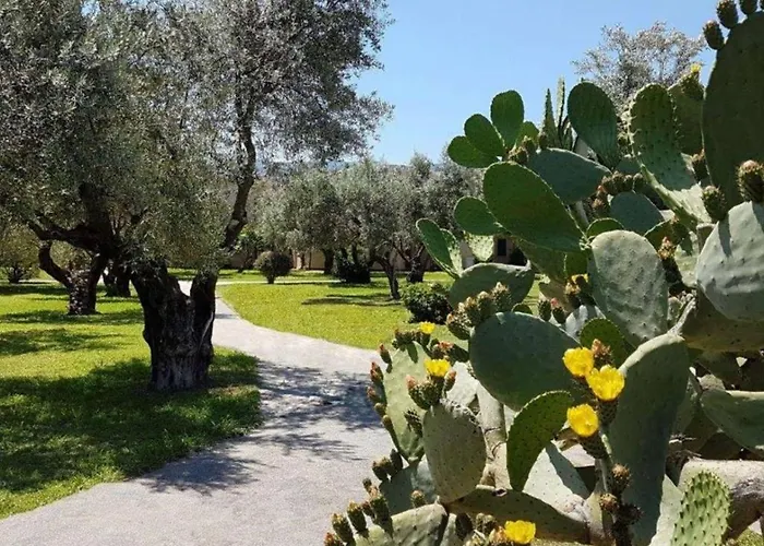 Alloggio Apartamento