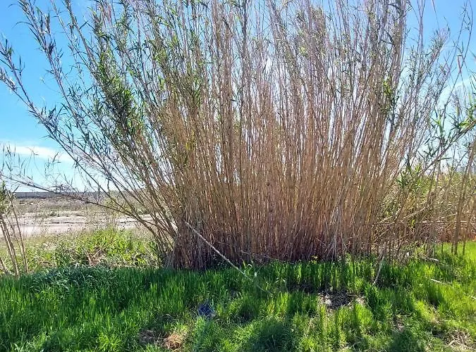 Alloggio * Isca sullo Ionio