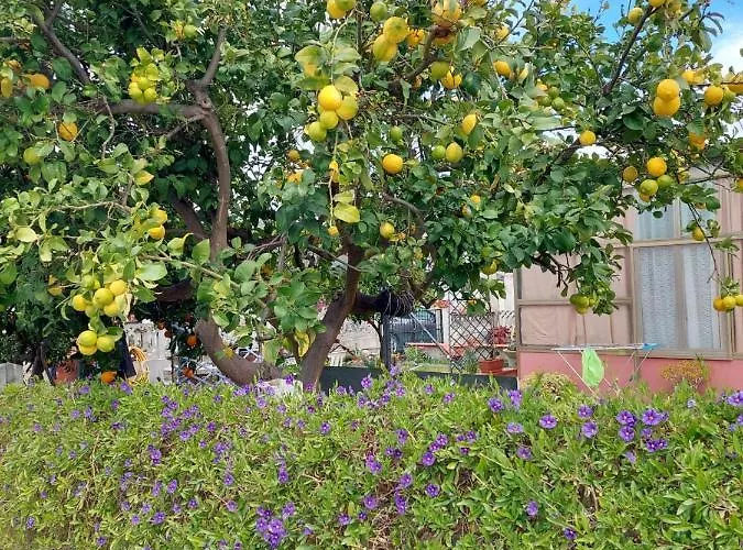 Alloggio Apartamento Isca sullo Ionio