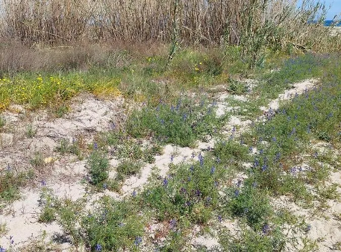 Apartamento Alloggio