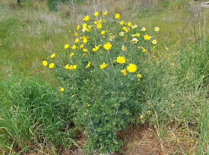 Apartamento Alloggio Isca sullo Ionio